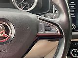 Škoda Kodiaq (2017) 2.0 TDI 4x4 DSG Style + - náhled 19