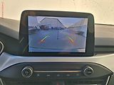 Ford Focus (2019) 1.5 TDCi, Titanium, LED - náhled 17