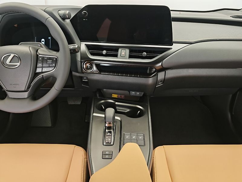 Lexus UX 300h F Sport Design 300H - fotka 16 z 44