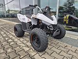 Linhai ATV 100 LH (2026) ATV 110 - náhled 21