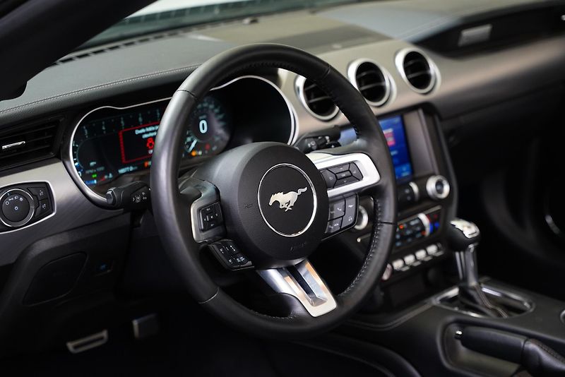 Ford Mustang - fotka 5 z 5