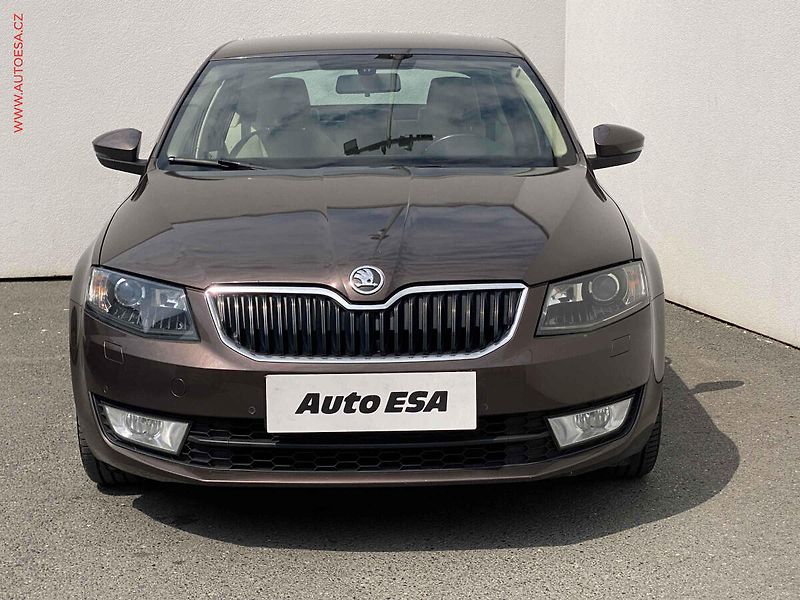 Škoda Octavia (2013) 1.8 TSi, ČR, DSG, bixen, kůže - fotka 2 z 17