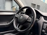 Škoda Octavia 2,0 TDI 4x4 /servis.kn. /110kW - náhled 20