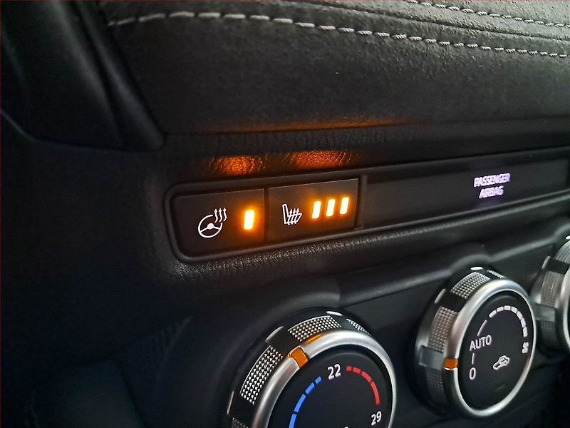 Mazda CX-3 (2019) 2.0 Skyactiv-G, Automat, Kůže - fotka 22 z 22