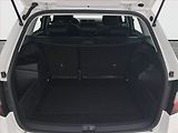 Škoda Fabia (2022) Ambition Plus 1.0 TSI, ČR - náhled 13