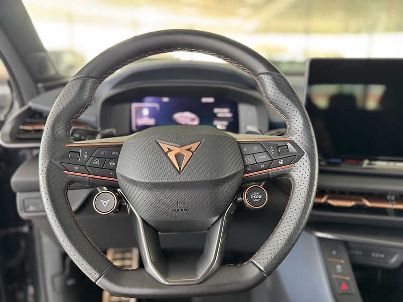 Cupra Terramar 2,0TSI VZ 265*4x4*DPH*5Let*Zár - fotka 10 z 37