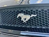Ford Mustang (2018) Convertible 5.0Ti-VCT V8 GT - náhled 46