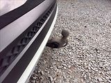 Seat Tarraco 2,0 TDi DSG Xcellence DPH  ACC - náhled 38