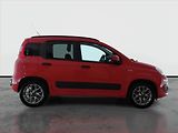 Fiat Panda (2020) City Life 1.2, ČR,1.maj - náhled 6