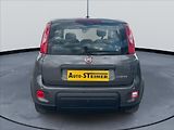 Fiat Panda 1,0 i Hybrid,1.Maj, DPH - náhled 6