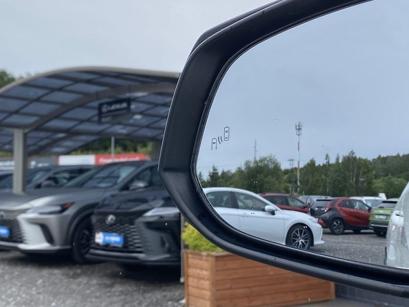Toyota RAV4 2.5PHEV, ČR-1m, Selection, 4x4 - fotka 9 z 19
