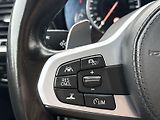 BMW X3 (2018) 3.0 xDrive30d M SPORT - náhled 18