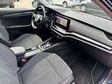 Škoda Octavia (2023) 2.0TDi DSG Ad.LED Webasto - náhled 19