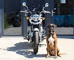 Royal Enfield Super Meteor 650 (2026) INTERSTELLAR BLACK - náhled 7