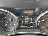Jaguar F-Pace 3,0 d 221kw AWD Aut. DPH - náhled 16