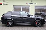 Alfa Romeo Stelvio 2.9V6 Bi-T.382 kW QUADRIFOGLIO - náhled 12