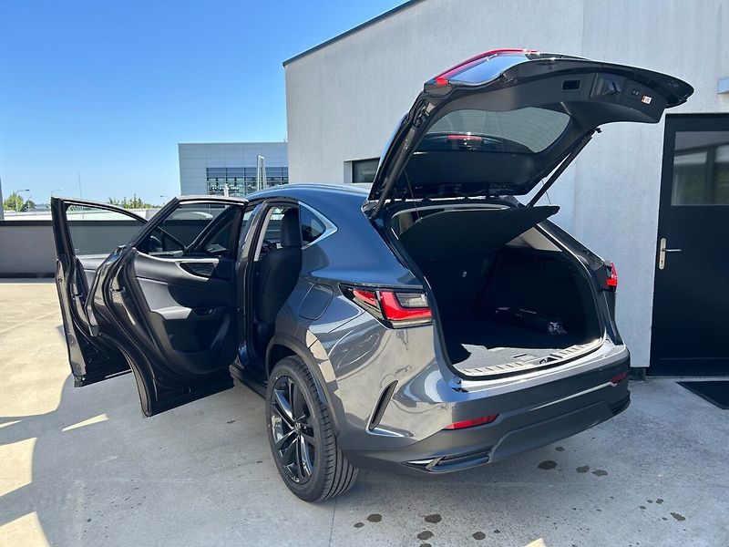 Lexus NX 350h 350h 2.5 HEV PRESTIGE - fotka 11 z 12
