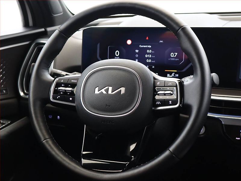 Kia Sorento (2024) TOP 2.2 CRDi - fotka 14 z 22