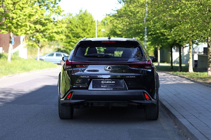 Lexus UX 300h 300H 2.0 HEV BUSINESS TECH - fotka 28 z 30