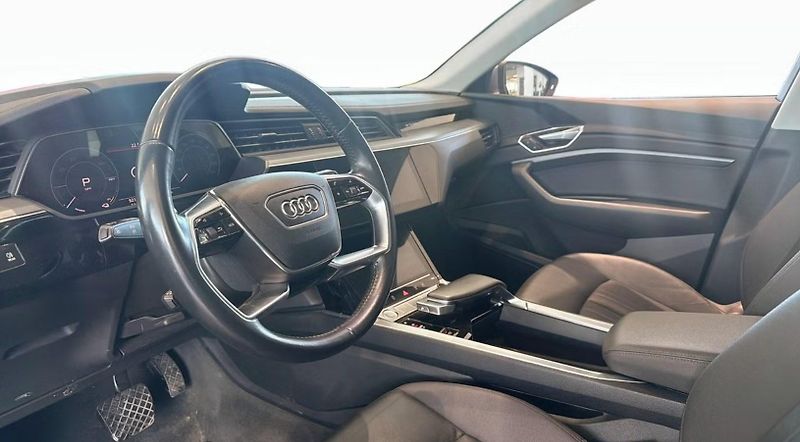 Audi e-tron 55 Quattro Kam Panorama HuD - fotka 7 z 17