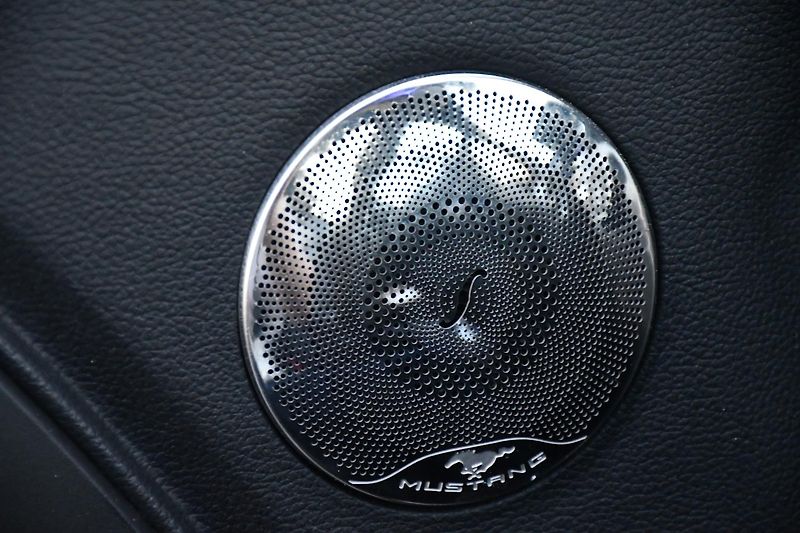 Ford Mustang 5.0V8 REMUS ČR ZADÁNO - fotka 35 z 40