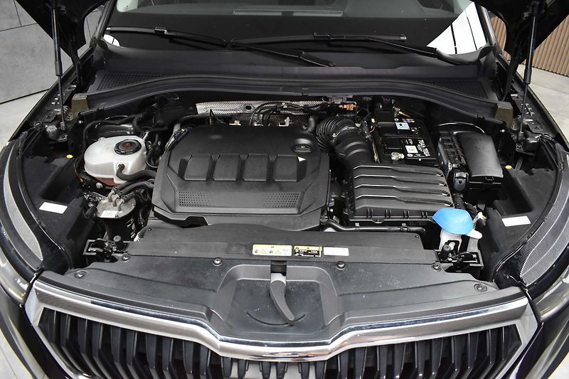 Škoda Kodiaq 2.0 TDI DSG*KAMERA*ACC*DPH* - fotka 31 z 37
