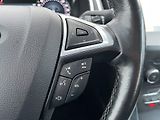 Ford S-MAX (2020) 2.0 110kw, Fordpass, Navi - náhled 12