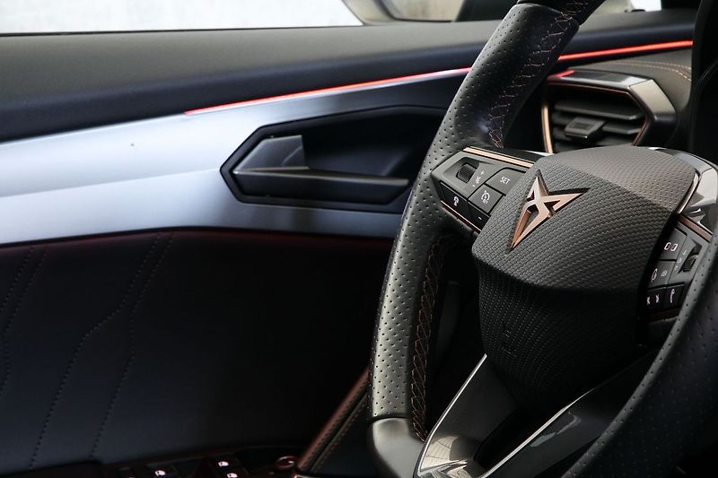 Cupra Formentor 1.5TSI 110kW Kamera Kessy ACC - fotka 15 z 32