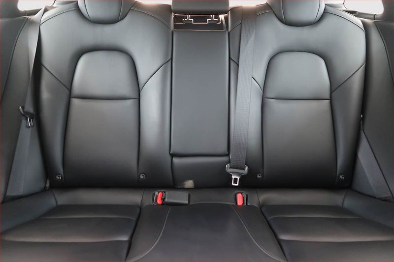 Tesla Model 3 (2021) Std Range Plus 55kWh, SoH 81% - fotka 10 z 22