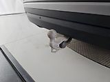 Škoda Kodiaq (2024) 2.0TDI 142kW Exclusive Selectr - náhled 34