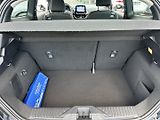 Ford Fiesta (2019) 1,0EcoBoost 92kw - náhled 13