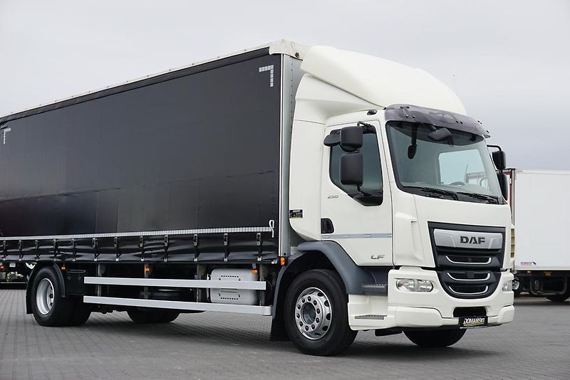 DAF LF (2019) 290 / E 6 / FIRANKA + WINDA /  - fotka 27 z 44