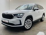 Škoda Kodiaq 2,0 TDI 142kW DSG 4x4 Selectio - náhled 1