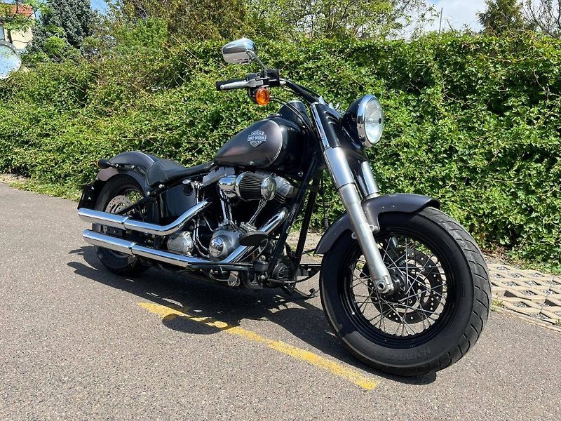 Harley-Davidson (2014) FLS Softail Slim - fotka 1 z 13