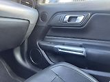 Ford Mustang 2.3LGH-231KW/2018/AT-DPH-2MAJ - náhled 19
