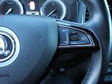 Škoda Karoq (2019) 1.6TDi, DSG - náhled 13