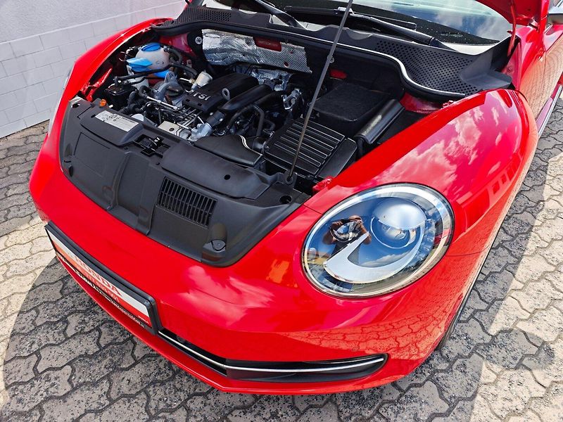 Volkswagen Beetle (2012) 1.2 TSI Design REZERVACE - fotka 26 z 34