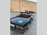 Majitelé automobilových veteránů absolvovali čtyřdenní závod Oldtimer Express. Na snímku Alfa Romeo při příjezdu do cílového města Istanbulu.