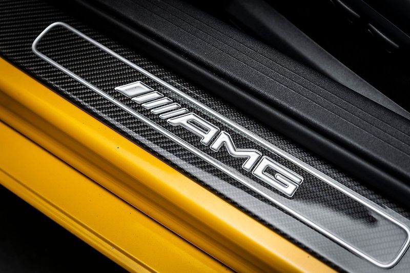 Mercedes-Benz AMG GT Roadster /CarbonCeramic/PPF - fotka 11 z 24