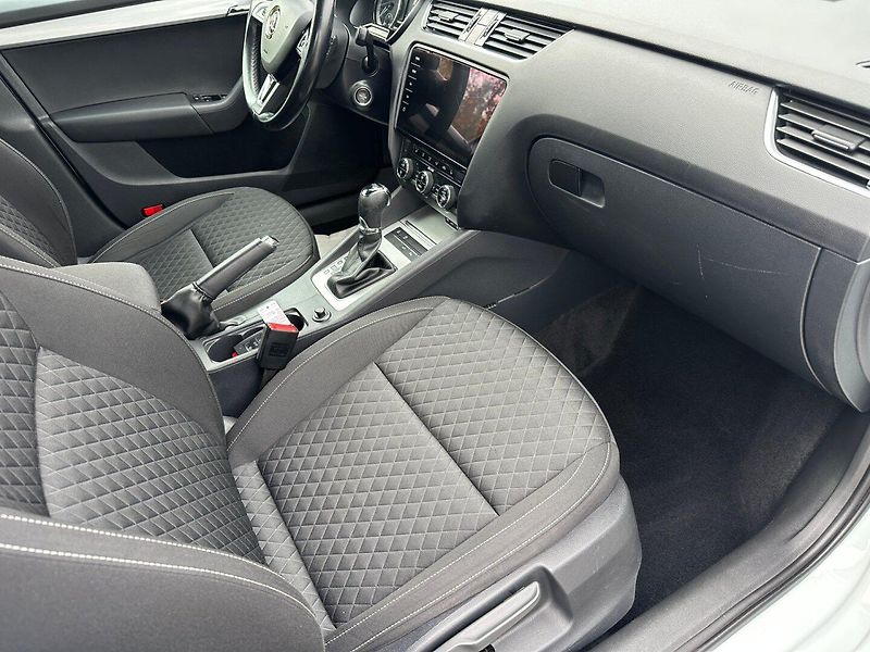 Škoda Octavia (2017) 2.0Tdi 110kw DSG Drive - fotka 14 z 22