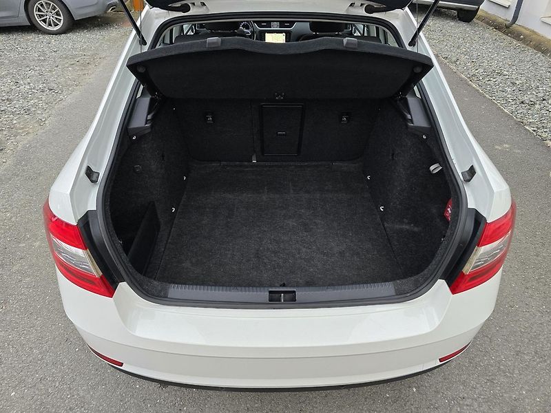 Škoda Octavia 110kW 1.Maj. ČR -DPH - fotka 34 z 36