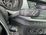 Škoda Fabia 1,0 TSI DPH tažné 1.maj. ČR - náhled 31