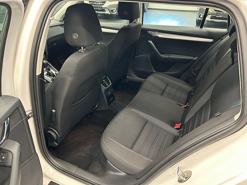 Škoda Octavia (2019) 1.5 CNG DSG Ambition 2019 | Zá - fotka 21 z 64