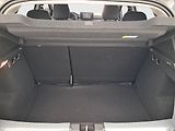 Dacia Sandero (2024) 1.0 TCe LPG, LPG, ČR,1.maj - náhled 13
