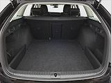 Škoda Octavia (2022) 2.0 TDI - náhled 13