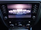 Škoda Octavia (2019) 2.0TDI 110kW DSG -VÝBAVA-DPH! - náhled 17