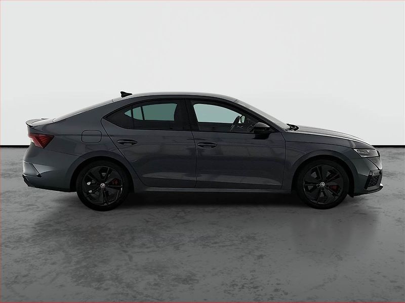 Škoda Octavia (2021) RS 2.0 TSI - fotka 6 z 16