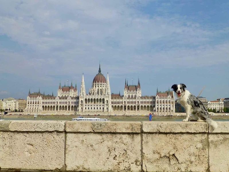 Slávek Král cestuje stopem. V doprovodu své border kolie Corey podnikl už dvakrát cestu kolem světa (Foto: Slávek Král)