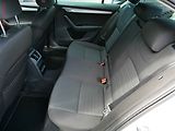 Škoda Octavia (2015) 2.0 TDi, ČR, Navi, bixen - náhled 10
