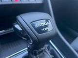 Škoda Karoq (2026) SPO 4X4 TSI 2.0/140KW 7AP - náhled 48